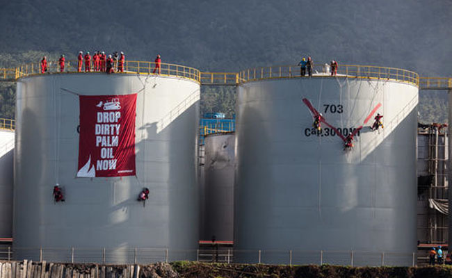 Greenpeace-Grup Band Boomerang Duduki Kapal Wilmar