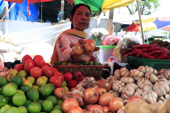 FOTO – Pemerintah Bebaskan Impor Bawang Putih