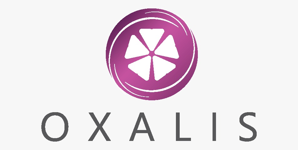 Metland Puri Hadirkan Cluster Oxalis Berkonsep Kompak dan Fleksibel