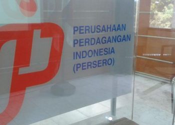 Kementerian BUMN Apresiasi Rencana Kerja 2021 PT PPI