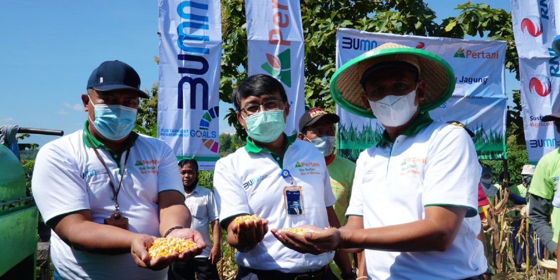 PT Pertani Sukses Sejahterakan Petani Melalui Skema Coporate Farming Jagung