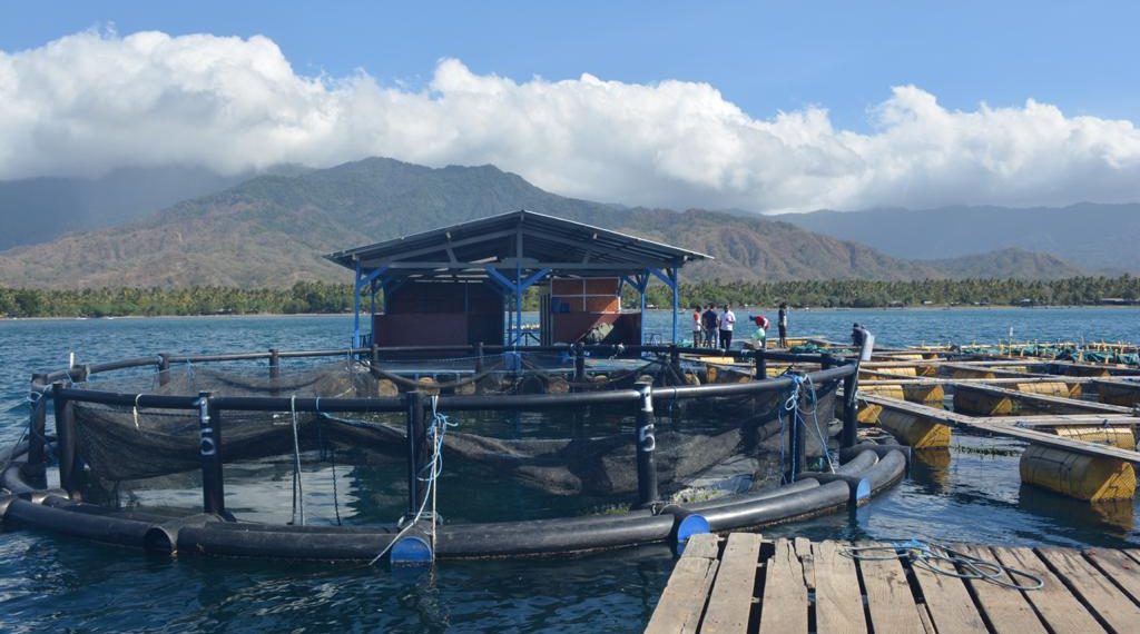 Perum Perindo Dukung Program Menteri KP Lewat Pakan Ikan dan Udang