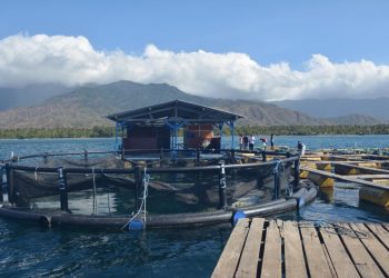 Perum Perindo Dukung Program Menteri KP Lewat Pakan Ikan dan Udang