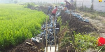 Triwulan I, Kegiatan Infrastruktur Kementerian PUPR Capai 5.334 Paket Terkontrak