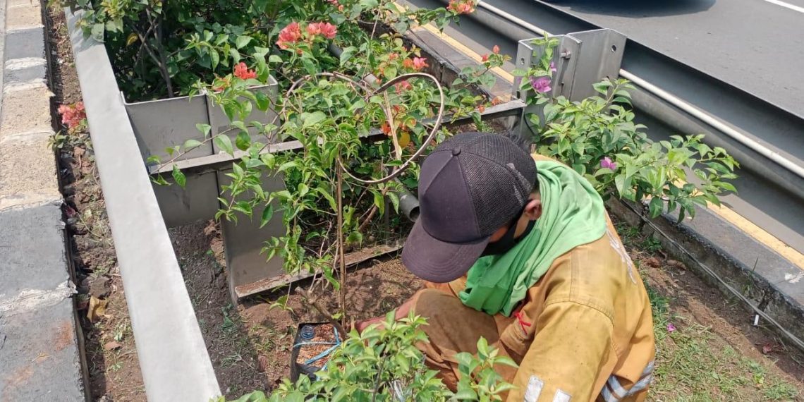 Hutama Karya Lakukan Kegiatan Penghijauan di Seluruh Ruas Tolnya