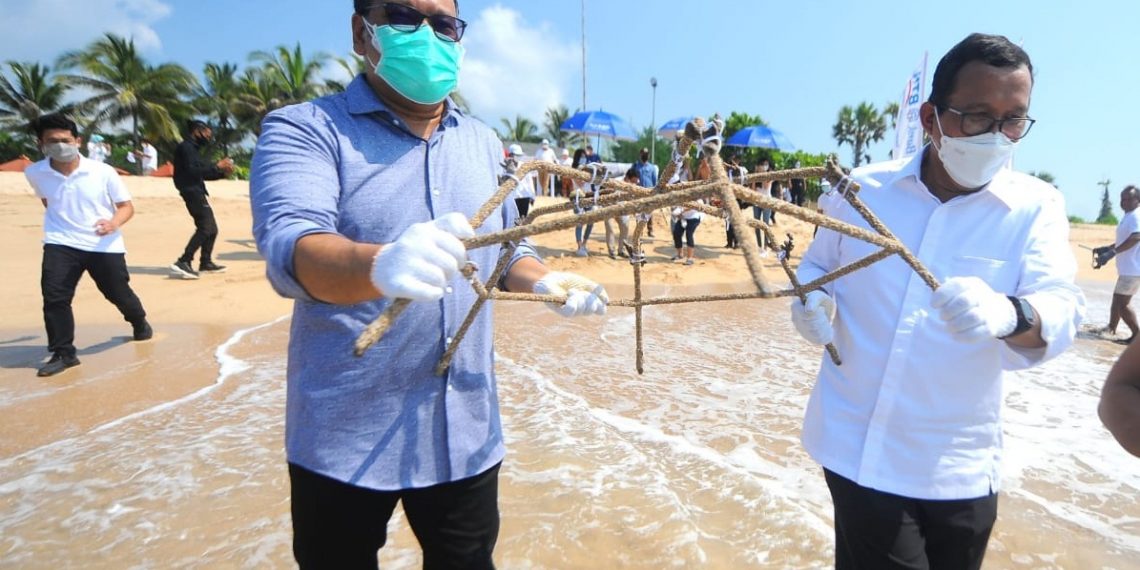 Transplantasi 710 Terumbu Karang dan Lepas 7.100 Tukik di Bali, Komitmen BTN Dukung PEN-ICRG