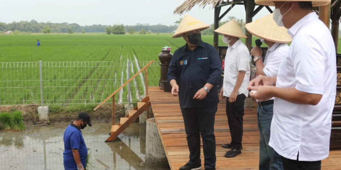 Erick Thohir: Kolaborasi BUMN untuk Bangun Ketahanan Pangan dan Wirausaha Petani
