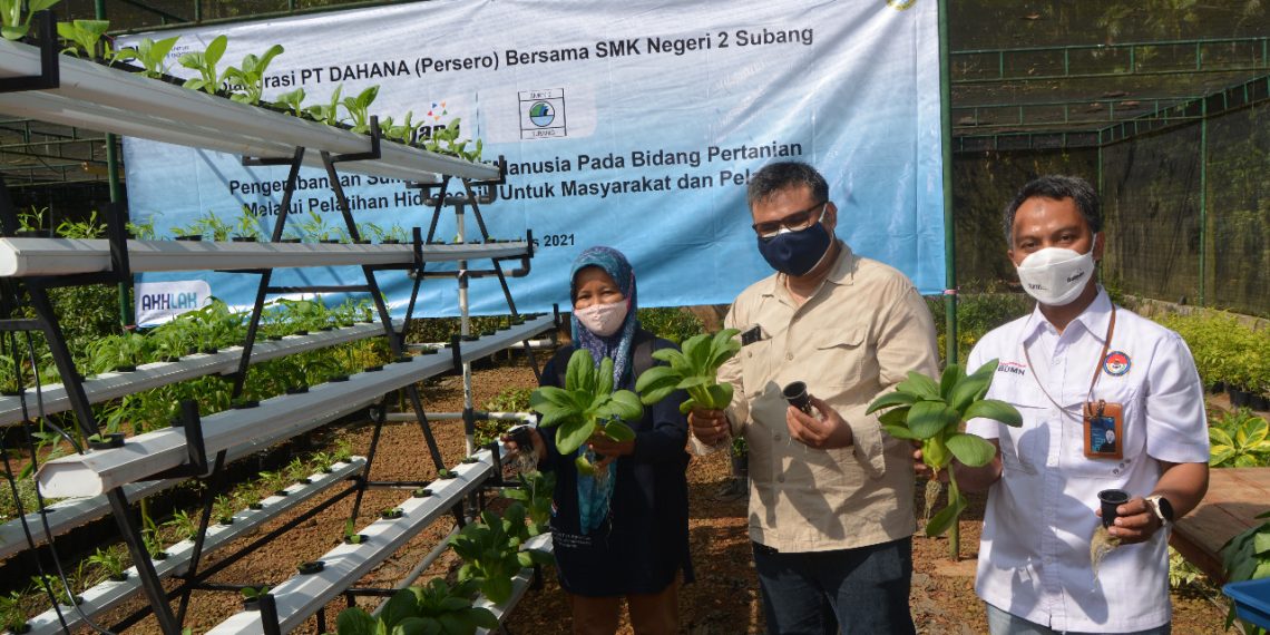 DAHANA dan Dunia Pendidikan Membangun Pertanian berbasis Hidroponik