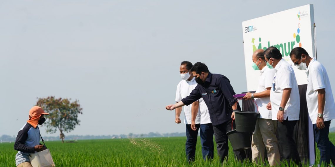 Dampingi dan Bina Pertani agar Food Industri Berbasis Masyarakat Tercipta