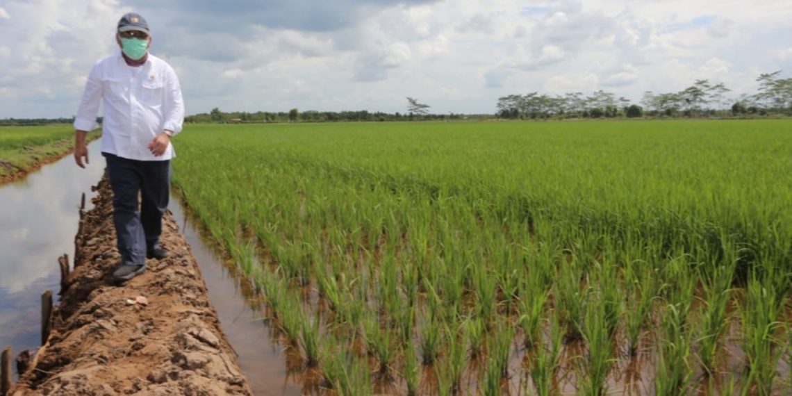 Program PKT Kementerian PUPR Lampaui Target Serapan