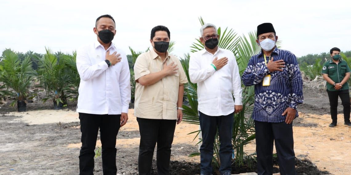 Sinergi PTPN V dan Petani Dukung Peremajaan Sawit Rakyat