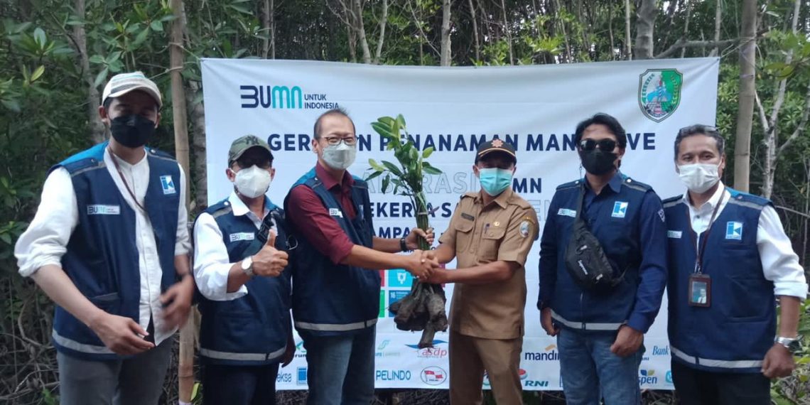 Kolaborasi 25 BUMN Dukung Rehabilitasi Mangrove di Kabupaten Sampang, Madura Jawa Timur