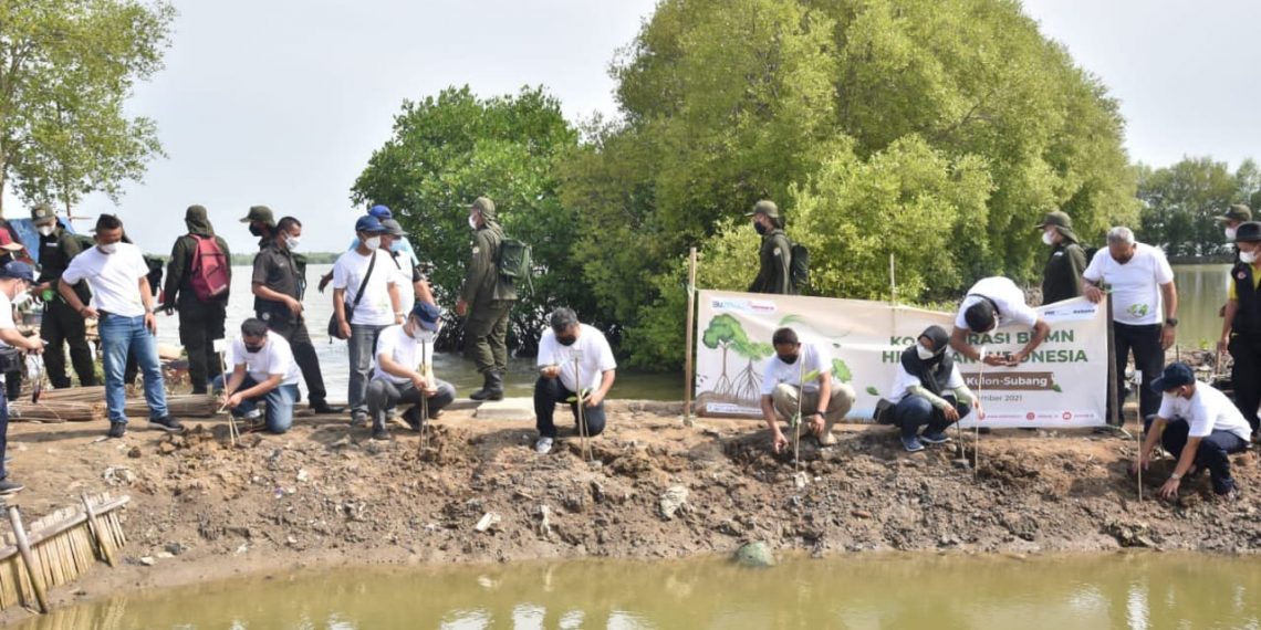 TJSL BUMN Indhan Tanam Pohon di Pantai Subang