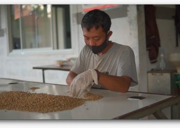 Desa Devisa Telah ‘Sulap’ Masyarakat dan Komoditas Desa kian Berkualitas