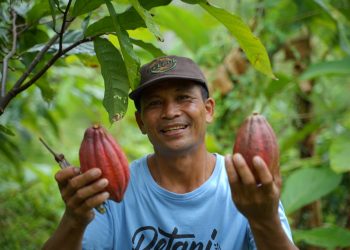 Biji Kakao Jembrana Sukses Terbang ke Mancanegara