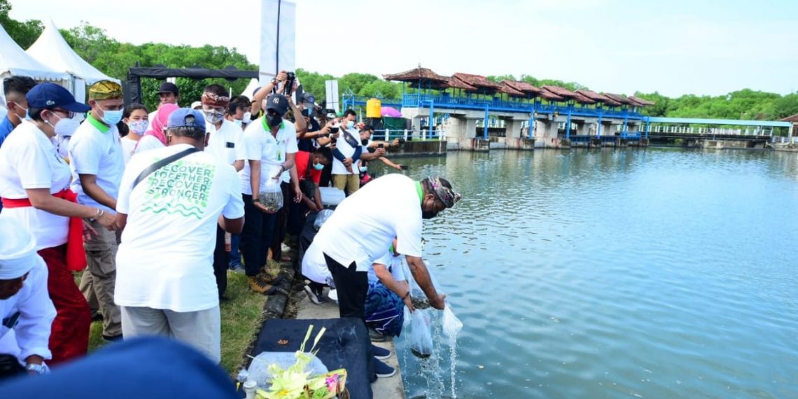 Kementerian PUPR Optimalkan Penggunaan Material Alami dalam Penataan Kawasan Mangrove Ngurah Rai