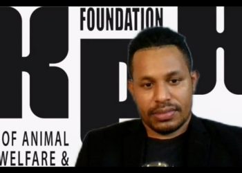 Lewat Webinar, Startup Bubu+ Dorong Ada Kurikulum Cinta Hewan di Sekolah