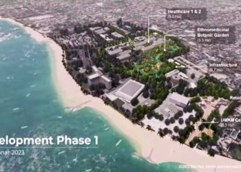 Airlangga Tawarkan Marubeni Investasi di KEK Kesehatan