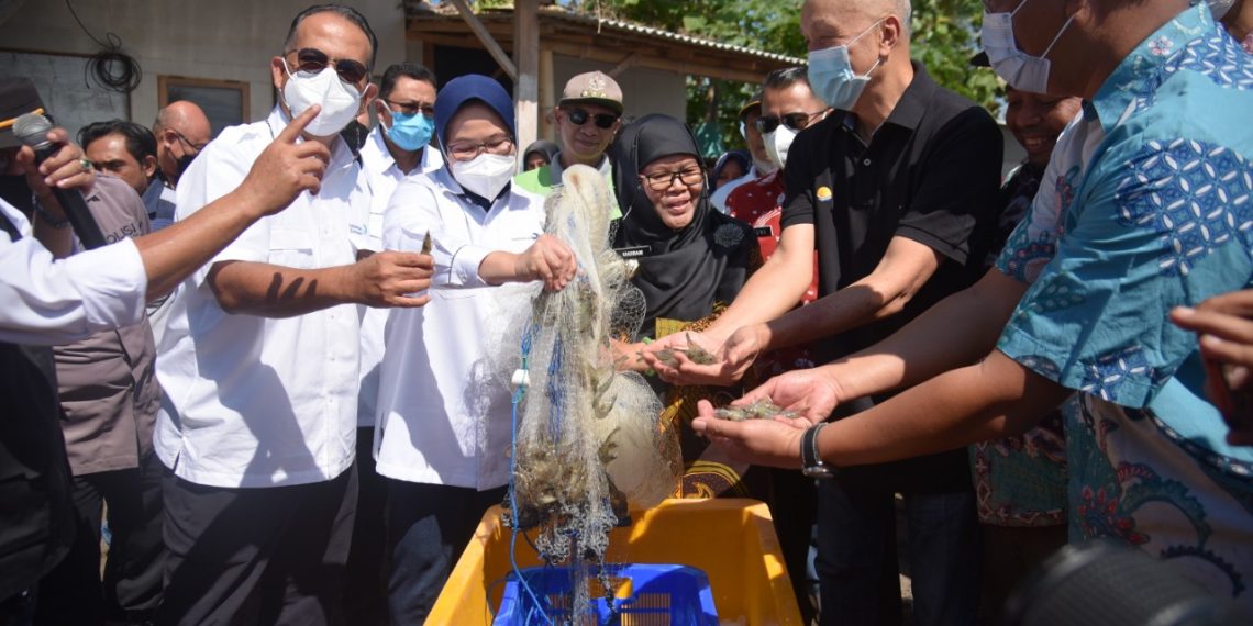 Bangun Desa Devisa Kluster Udang, LPEI Berkontribusi Genjot Pertumbuhan Ekspor Jawa Timur