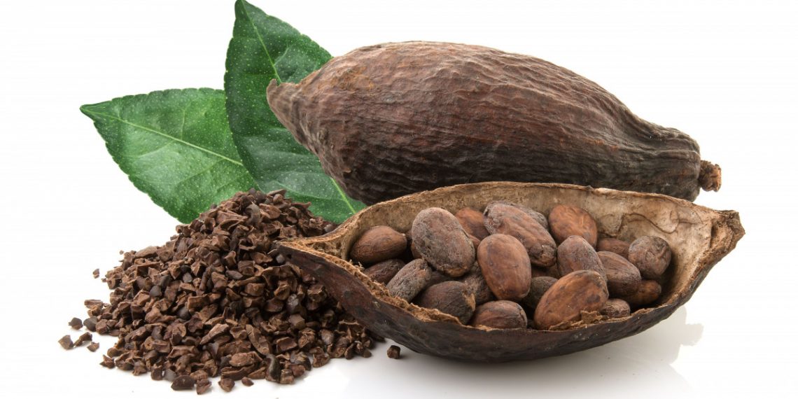 3.000 Nasabah Bank Ini Bantu Petani Kakao