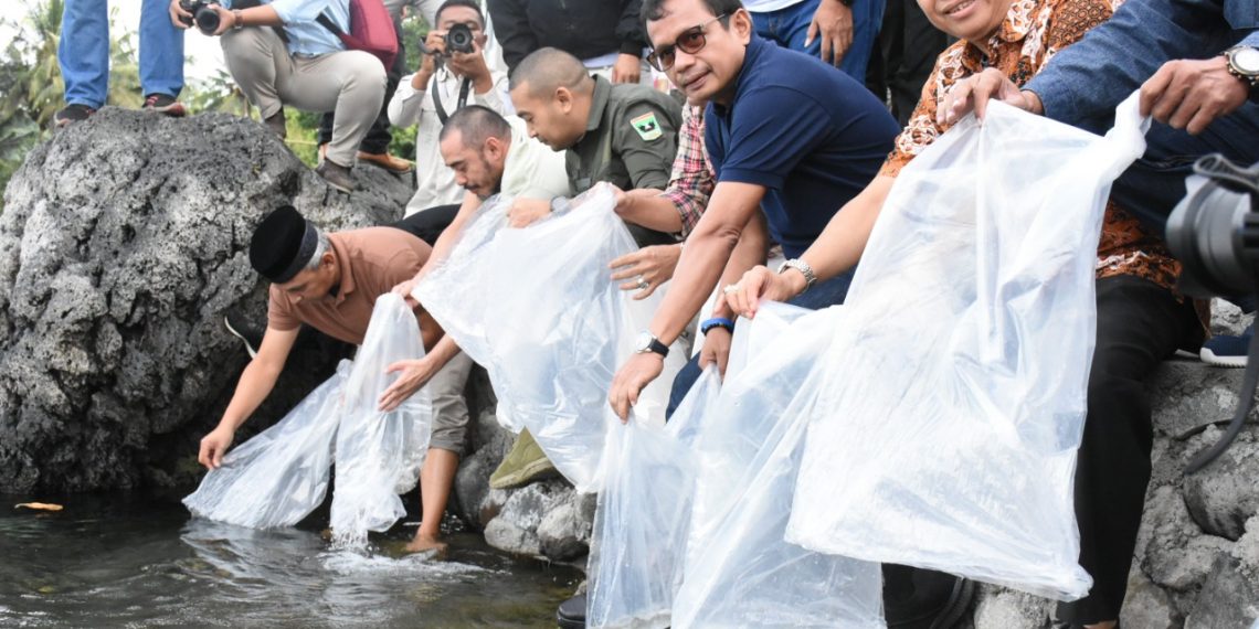 Budidayakan Ikan Langka, Semen Padang Lepas 7.000 Ekor Ikan Bilih ke Danau Singkarak