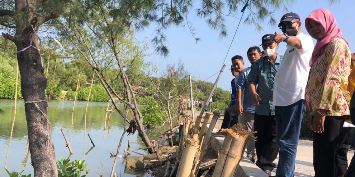 Residu Batu Bara PLTU Dijadikan Material Tanggul-Jalan di Demak