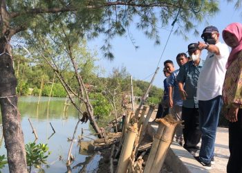 Residu Batu Bara PLTU Dijadikan Material Tanggul-Jalan di Demak