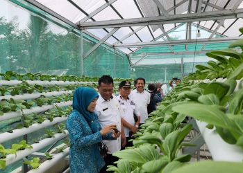 Di Bogor, Sinar Mas Land Bangun 3 Balai Pertanian Kembangkan Petani