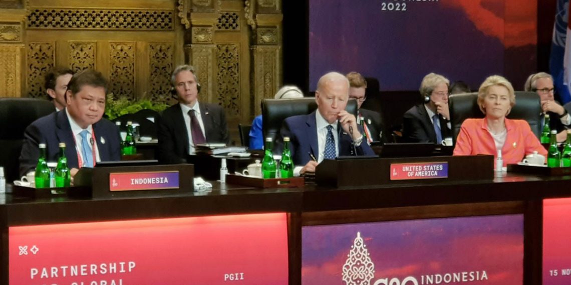 Hibah PGII US$ 600 M Bisa Mempercepat Transisi Energi Hijau