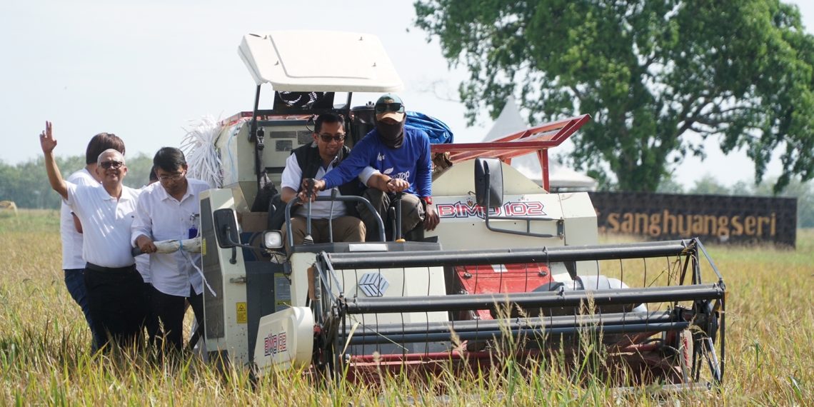 BUMN ID FOOD bersama Petani Siap Kolaborasi Antisipasi Resesi Pangan