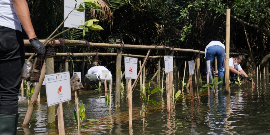 Hutama Karya dan 7 TJSL BUMN Karya Dukung Pelestarian Mangrove