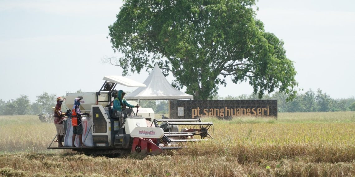 PT Sang Hyang Seri  Lakukan Swakelola Lahan Bersama Petani
