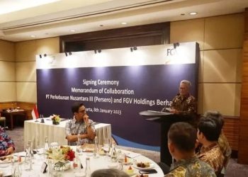 BUMN Perkebunan RI-Malaysia Kolaborasi, Kuasai 88 Persen Produksi CPO Dunia