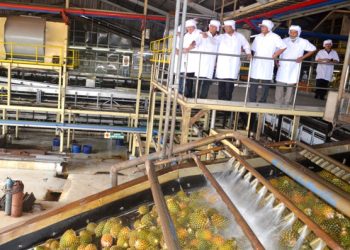 Ini Tiga Strategi CSR PT GGP untuk Wujudkan Bisnis Berkelanjutan