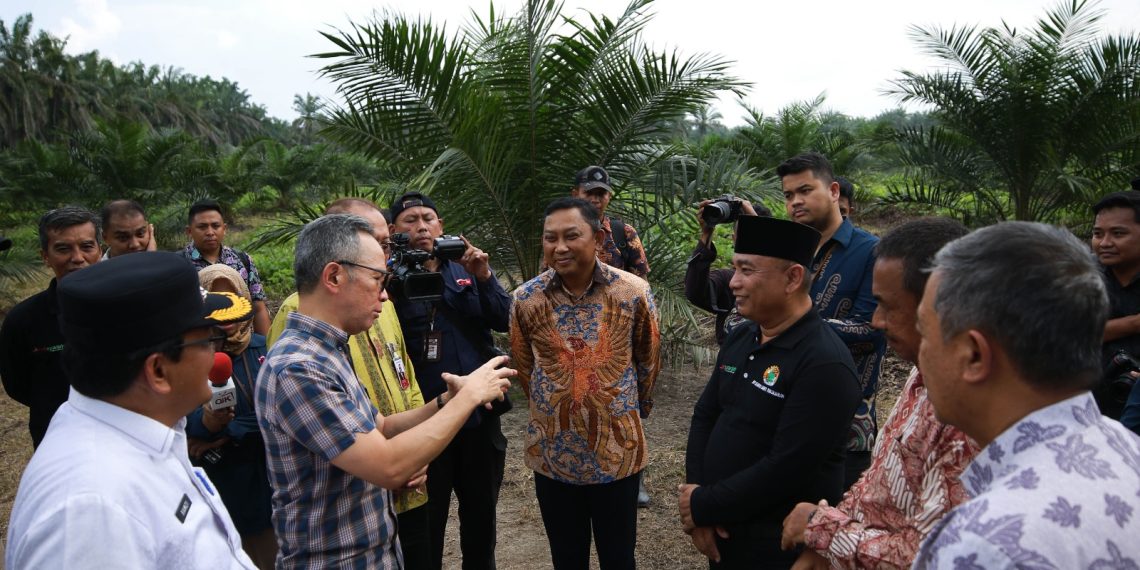OJK Permudah Industri Jasa Keuangan Biayai Petani Sawit