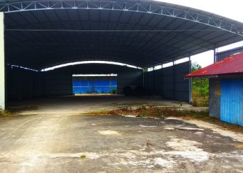 Investor Asing Terpedaya Investasi di Provinsi Kalimantan Tengah