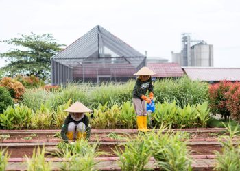 Pabrik Rembang Semen Gresik Juara 1 di Ajang Good Mining Practice 2023