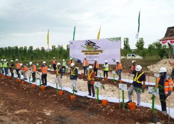 Wujudkan Dekarbonisasi Konstruksi, SIG Tanam Pohon Kaliandra Merah di Sumbar dan Tuban