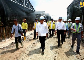 Kementerian PUPR Siapkan 52 Ribu Pohon untuk Koridor Jalan Tol IKN