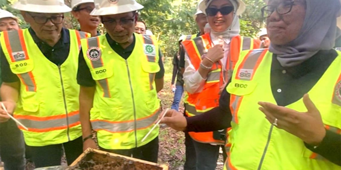 Lahan Pascatambang Semen Baturaja Dijadikan Budidaya Lebah Trigona