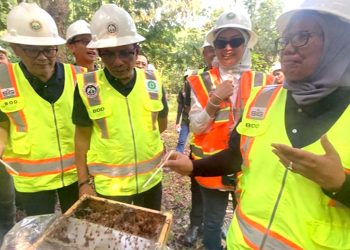 Lahan Pascatambang Semen Baturaja Dijadikan Budidaya Lebah Trigona