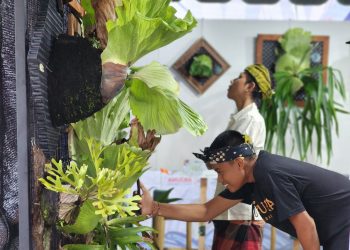 Paku Tanduk Rusa Sapa Pengunjung AstraPay Sanur Village Festival 2023