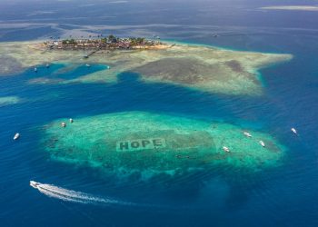 MARS Mencanangkan “The Big Build”