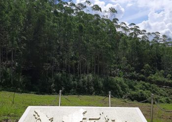 SKK Migas dan KKKS Siap Dukung Kota Zero Carbon