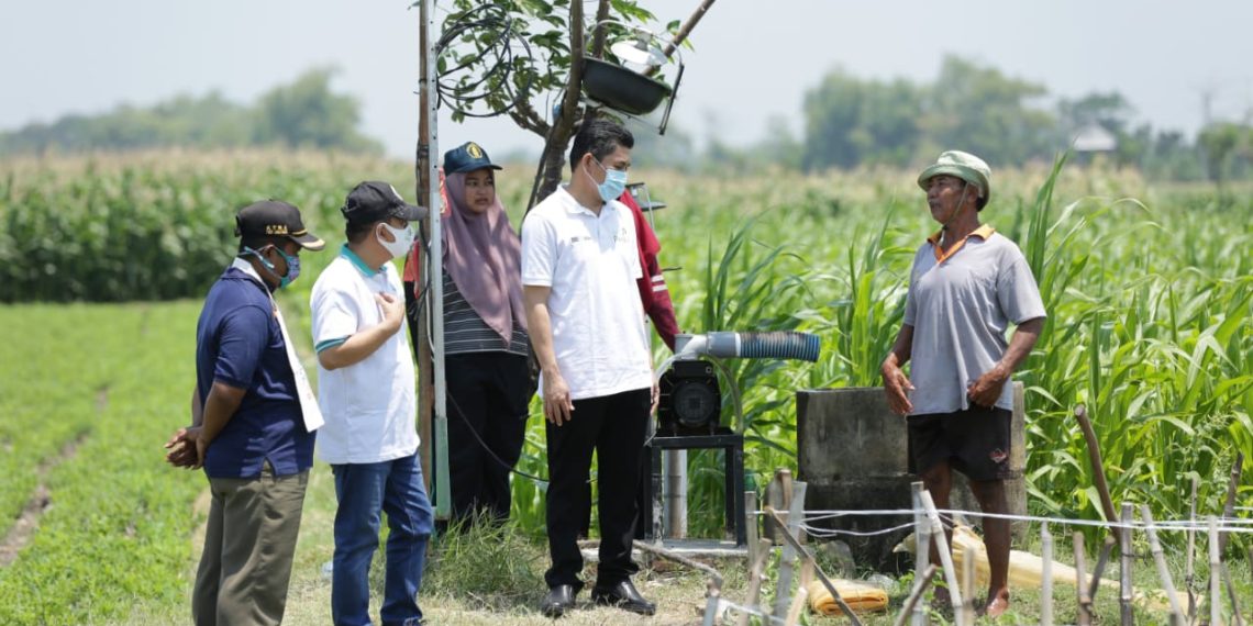Program Electrifying Agriculture PLN Tumbuh 22,28 Persen