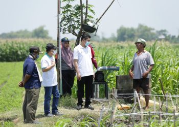 Program Electrifying Agriculture PLN Tumbuh 22,28 Persen