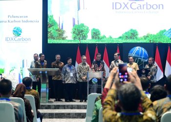 Resmi! Presiden Jokowi Luncurkan Bursa Karbon Indonesia