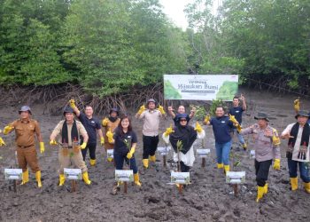 Komitmen Keberlanjutan FIFGROUP di Hutan Mangrove