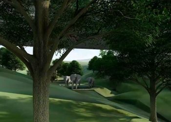 Hutama Karya Bangun Perlintasan Satwa dan Pagar Pembatas Jalan