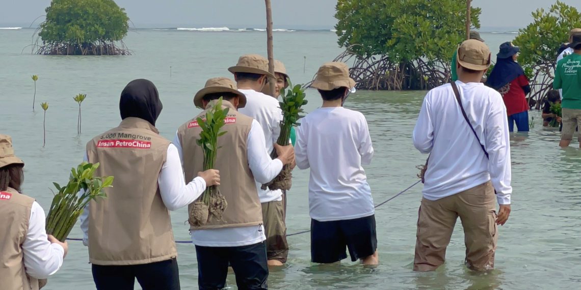 Insan PetroChina Tanam Harapan melalui Donasi 5.000 Mangrove